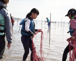 11月 水辺の教室　「すじ青のりってなあに？」〜網張り体験編〜