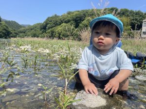 Read more about the article 『うなぎから見る、山・川・海のつながり』wsを開催します