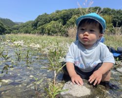 『うなぎから見る、山・川・海のつながり』wsを開催します