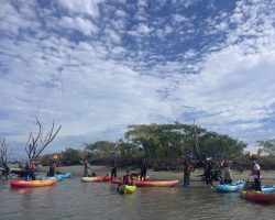 アウトドアガイドと行く、吉野川流域ツアー　第ニ弾 『川・海・空が出会う、吉野川河口カヌーツアー＠吉野川」　ガイド：塩崎健太（川塾代表）』