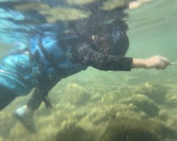 第3回kids川遊び！　土曜グループ