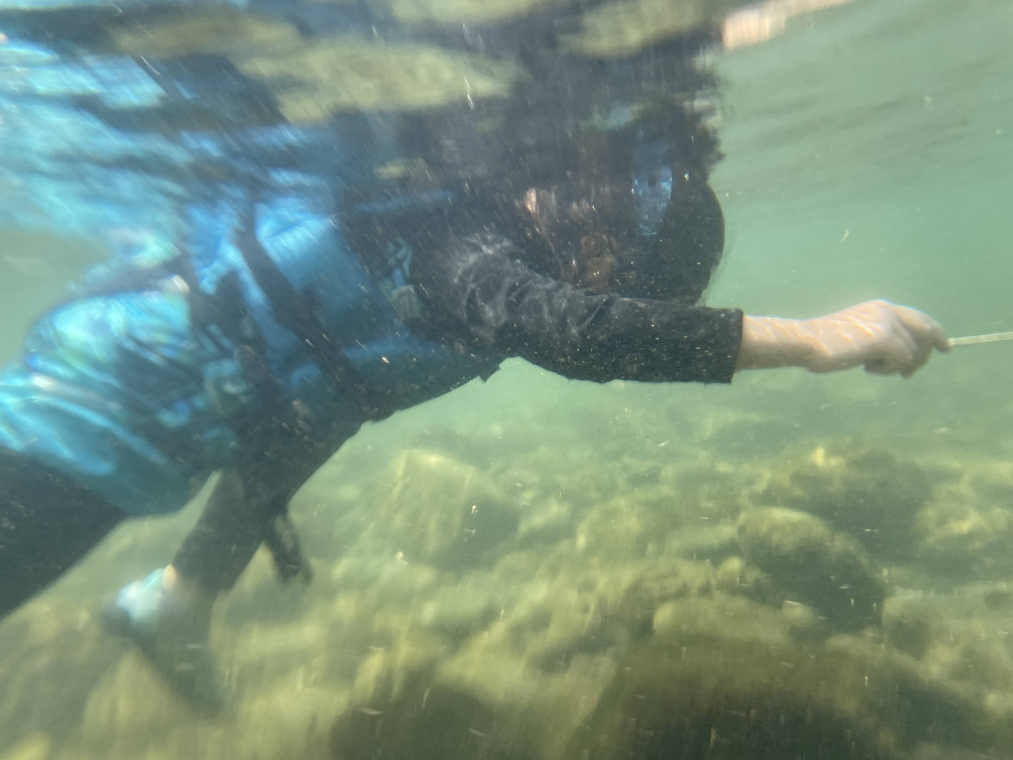 You are currently viewing 第3回kids川遊び！　土曜グループ