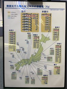 Read more about the article 『河川生態学講座@兵庫県立人と自然の博物館』を受講してきました♪