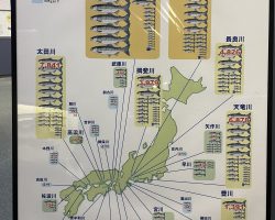 『河川生態学講座@兵庫県立人と自然の博物館』を受講してきました♪