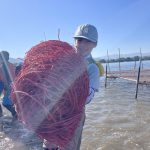 <span class="title">11月 水辺の教室 「すじ青のりったなあに?」〜すじ青のり網張り体験〜</span> <span class="title">11月 水辺の教室 「すじ青のりったなあに?」〜すじ青のり網張り体験〜</span>