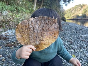 Read more about the article 第2回　小さな自然再生ws@鮎喰川　開催しました