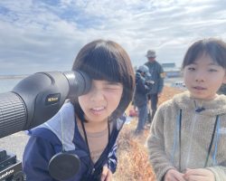 2月 水辺の教室　「どうして干潟に渡り鳥がくるの？」〜吉野川は渡り鳥の楽園〜